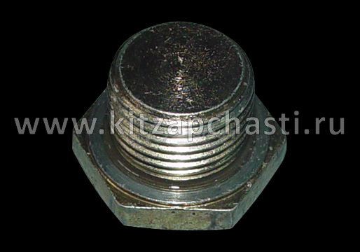 Пробка сливная CVT   KAIYI E5  QR523-1701102